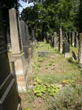 Goerlitz Friedhof 178.jpg (134132 Byte)