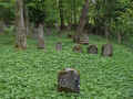 Sondershausen Friedhof 174.jpg (208250 Byte)