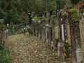 Haigerloch PICT3483.jpg (661390 Byte)