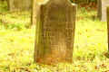 Muenzenberg Friedhof K1600_IMG_0858.jpg (148472 Byte)