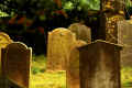 Muenzenberg Friedhof K1600_IMG_0859.jpg (257501 Byte)